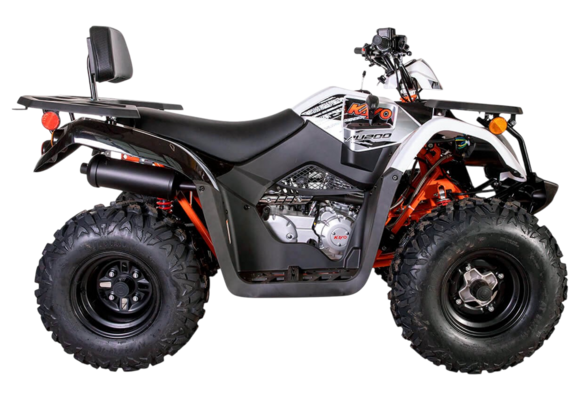 Квадрицикл KAYO AU200 спинка (белый пластик 2024 г.) (ПТС) pitbikemarket.ru