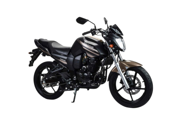 Мотоцикл дорожный Motoland BANDIT 300 коричневый pitbikemarket.ru